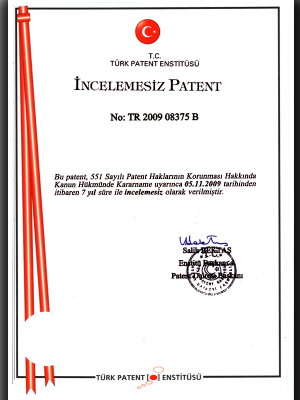 Asbuton Asansör İncelemesiz Patent 2009